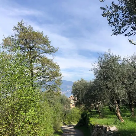 Appartement Casa Antony